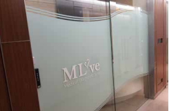 Designed Frosted Glass Custom Privacy Window Design - magicmural